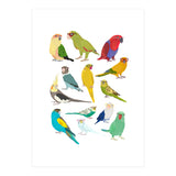 Parrotts in Glasses (Print Only) thumbnail