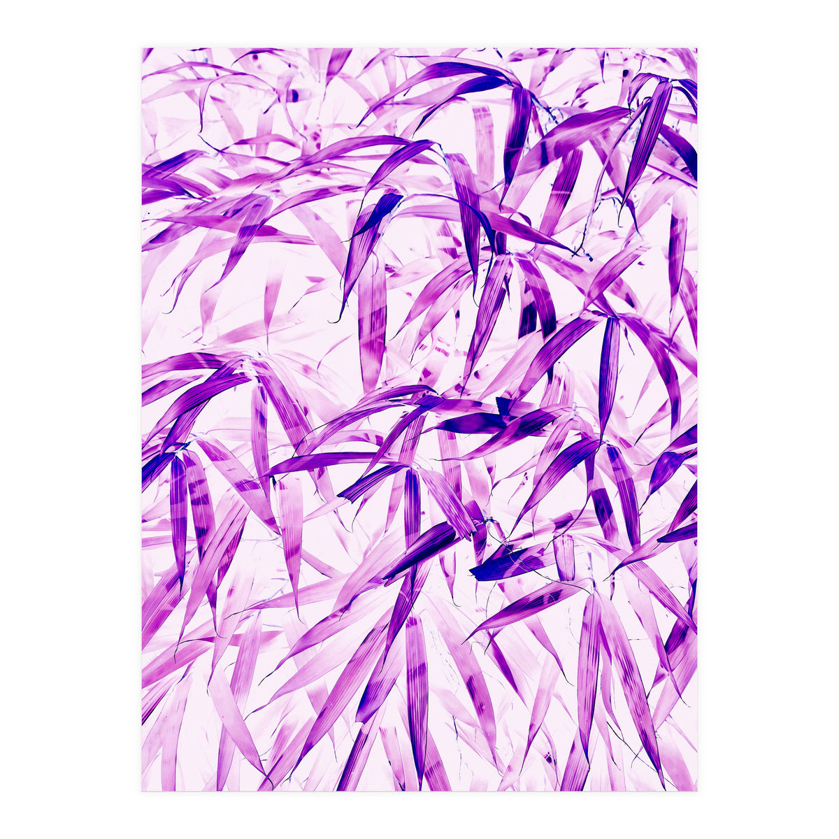 Ultra Violet (Print Only)