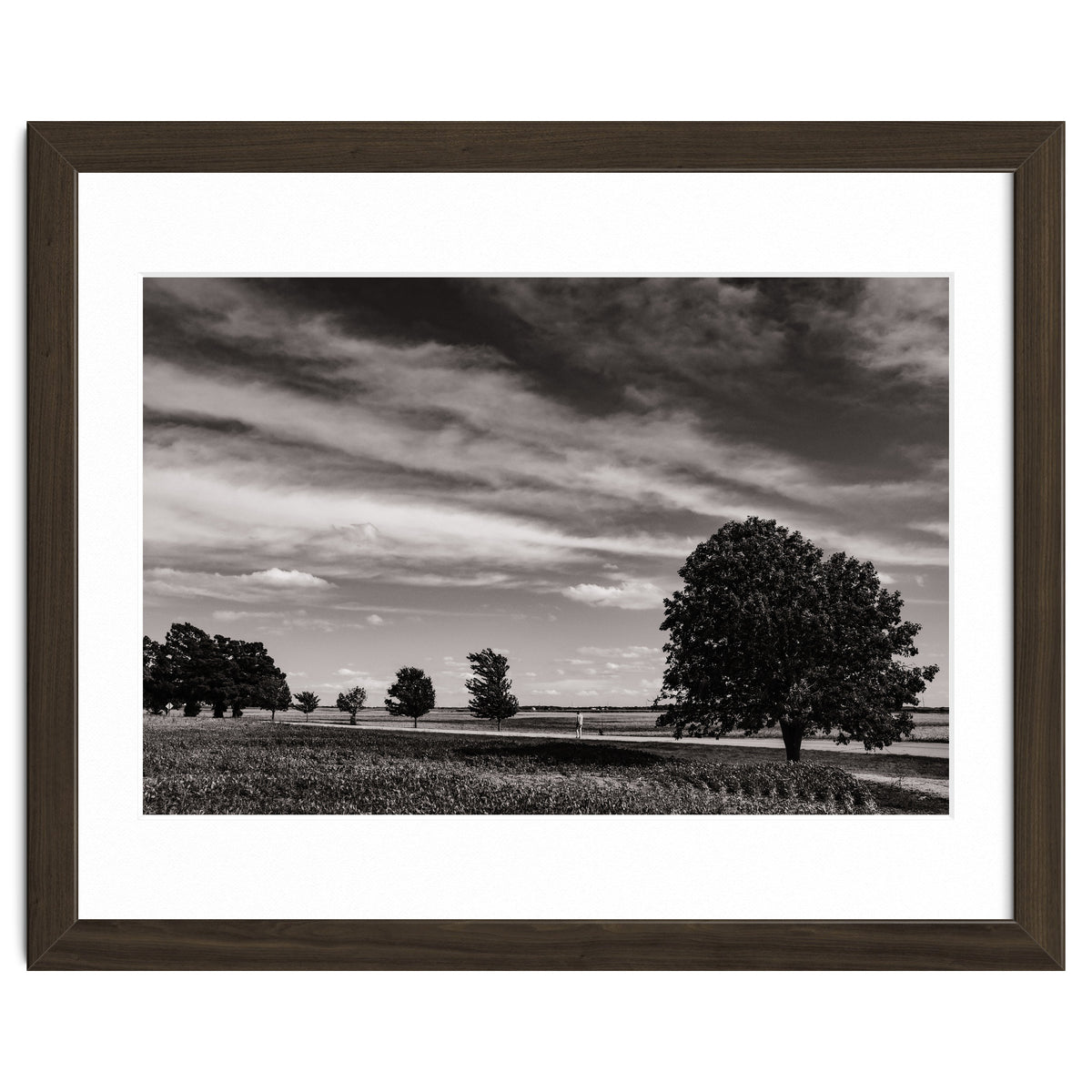 Country Road, Illinois