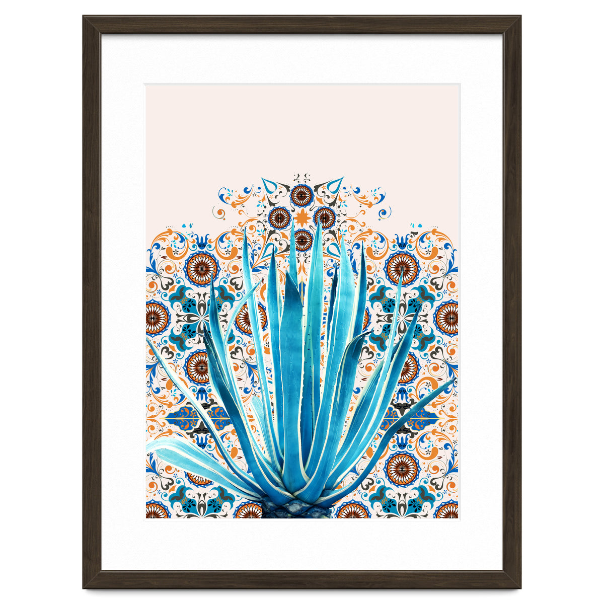 Cactus and Moroccan tiles