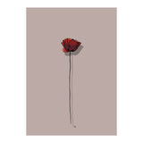 Poppy (Print Only) thumbnail
