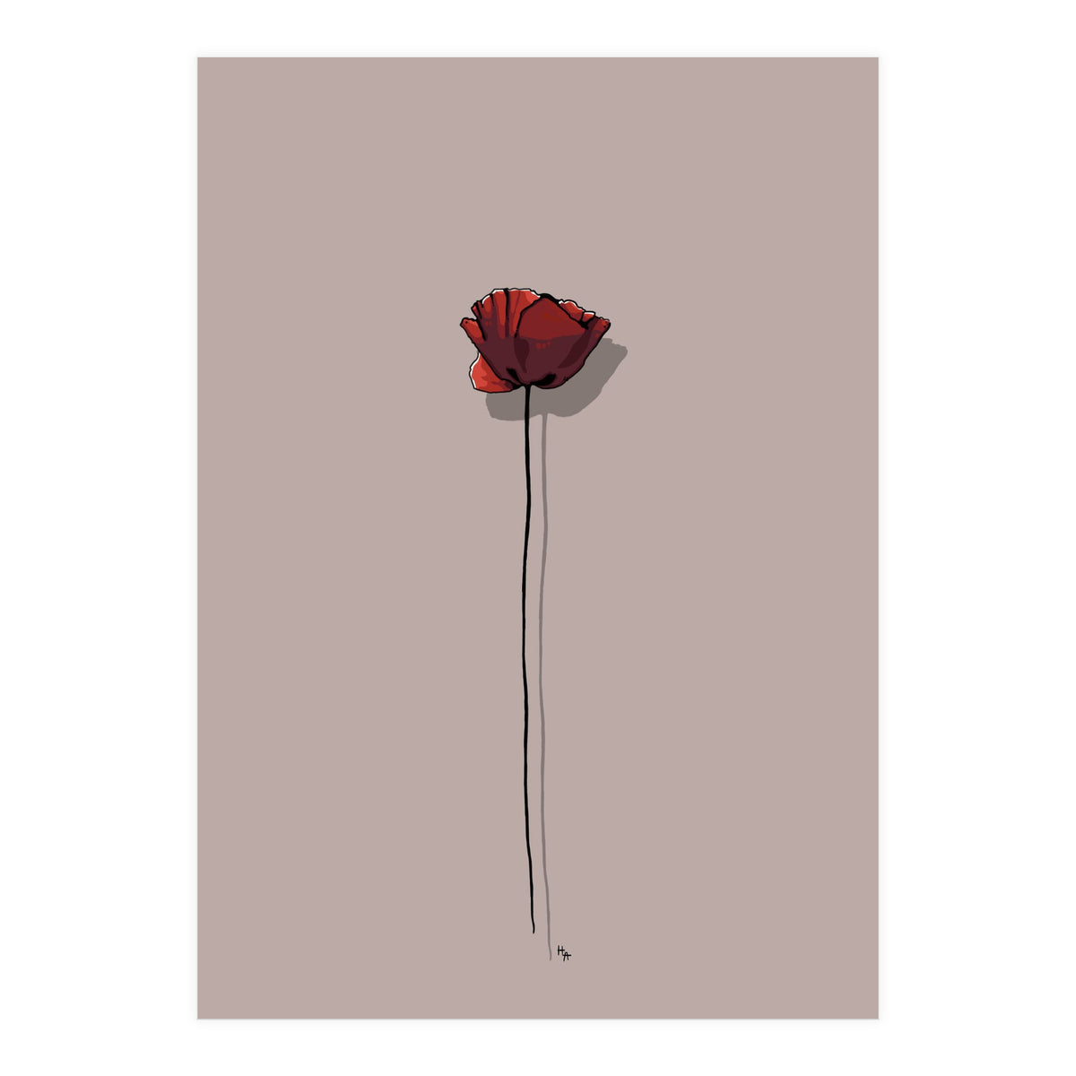 Poppy (Print Only)