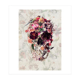 New Skull Light (Print Only) thumbnail