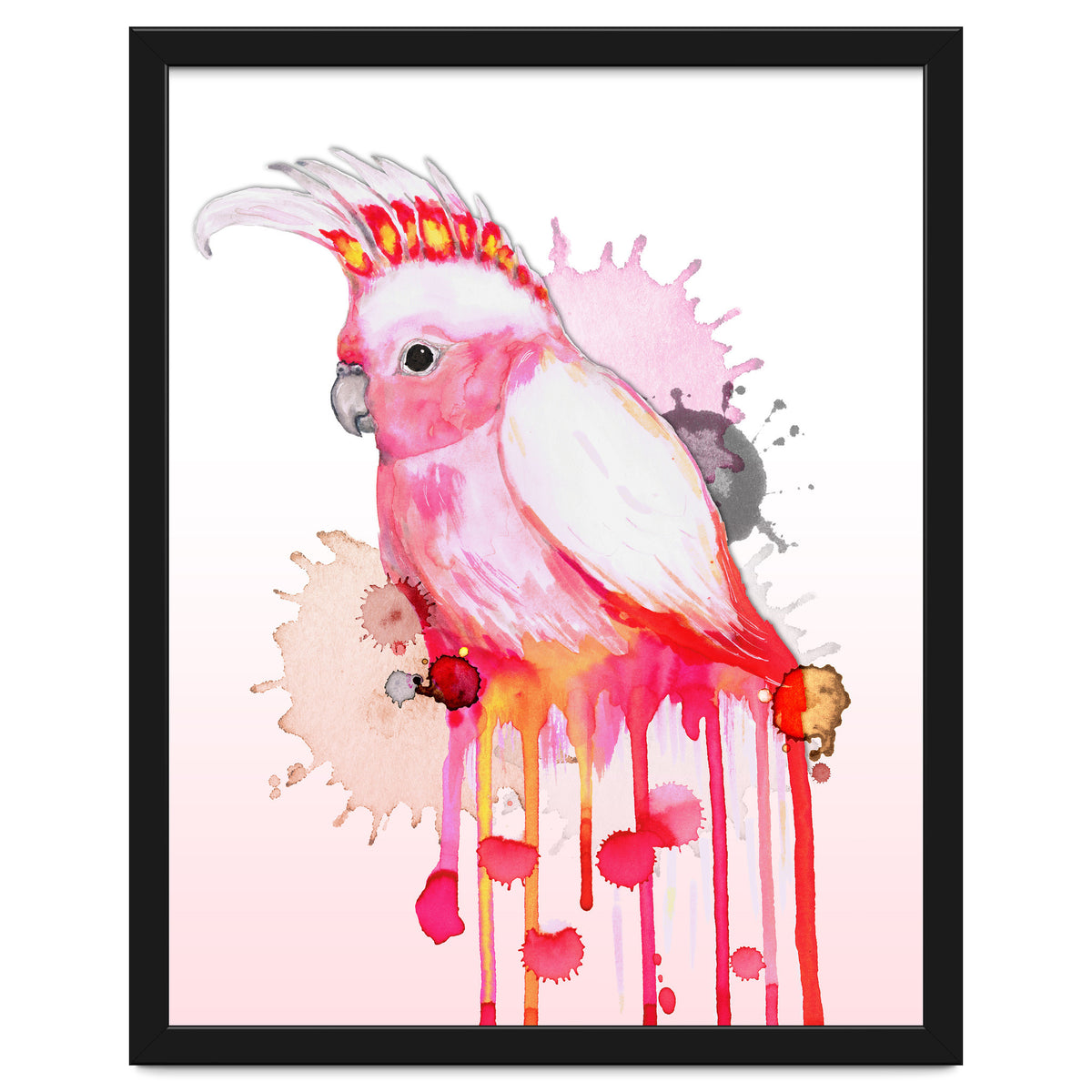 Major Mitchell's cockatoo