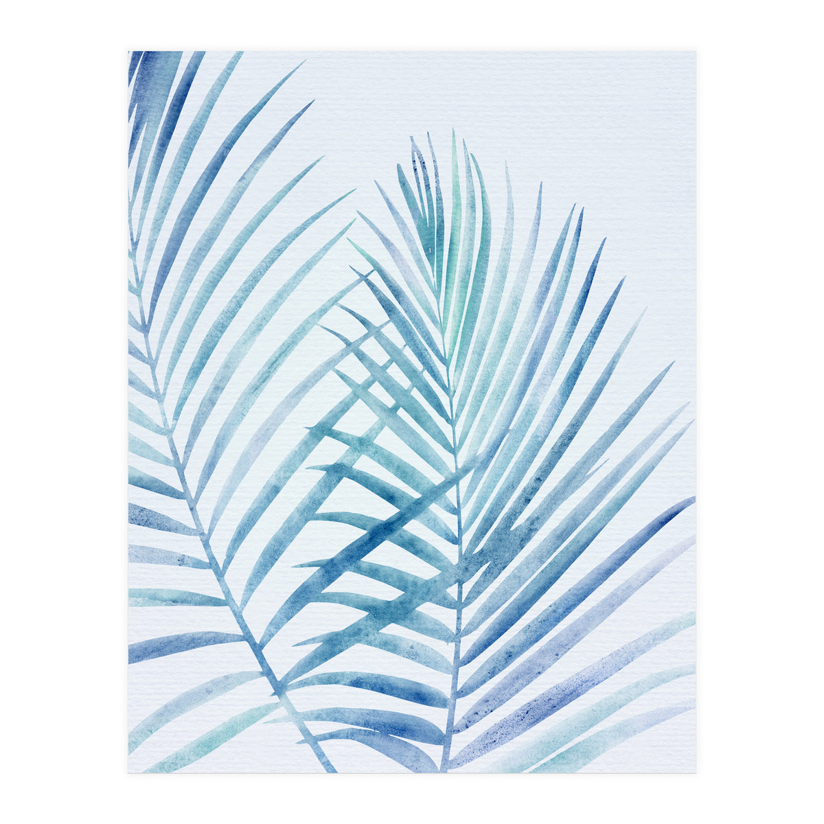 Coastal Palm Fronds (Print Only)