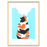 Tri Colored Calico Cat