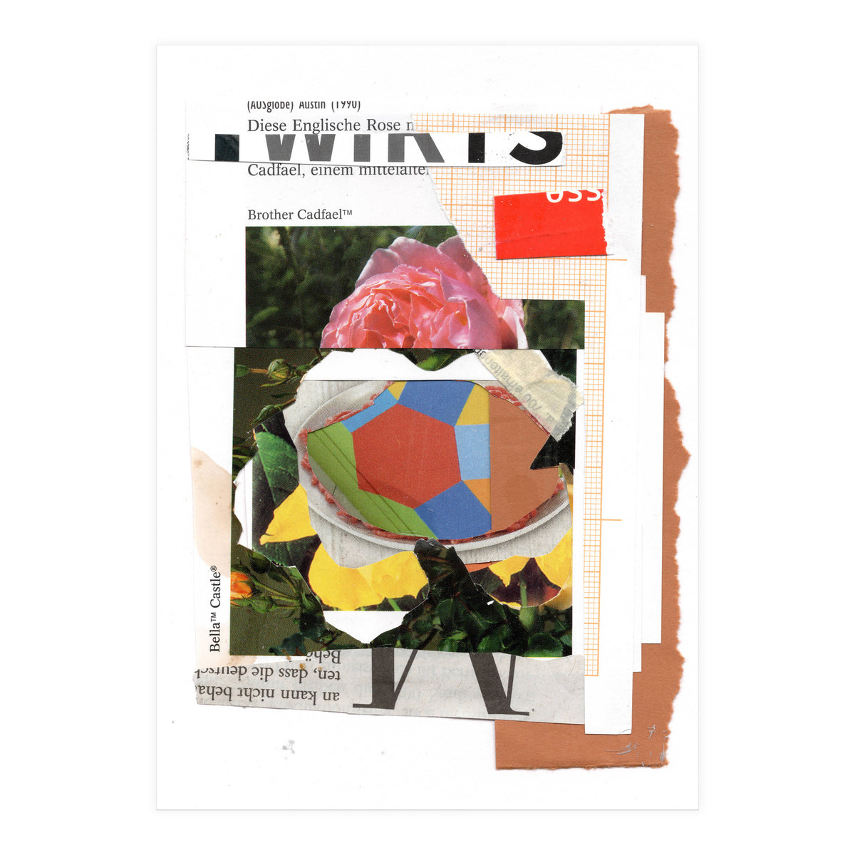 Abstract 1505 (Print Only)