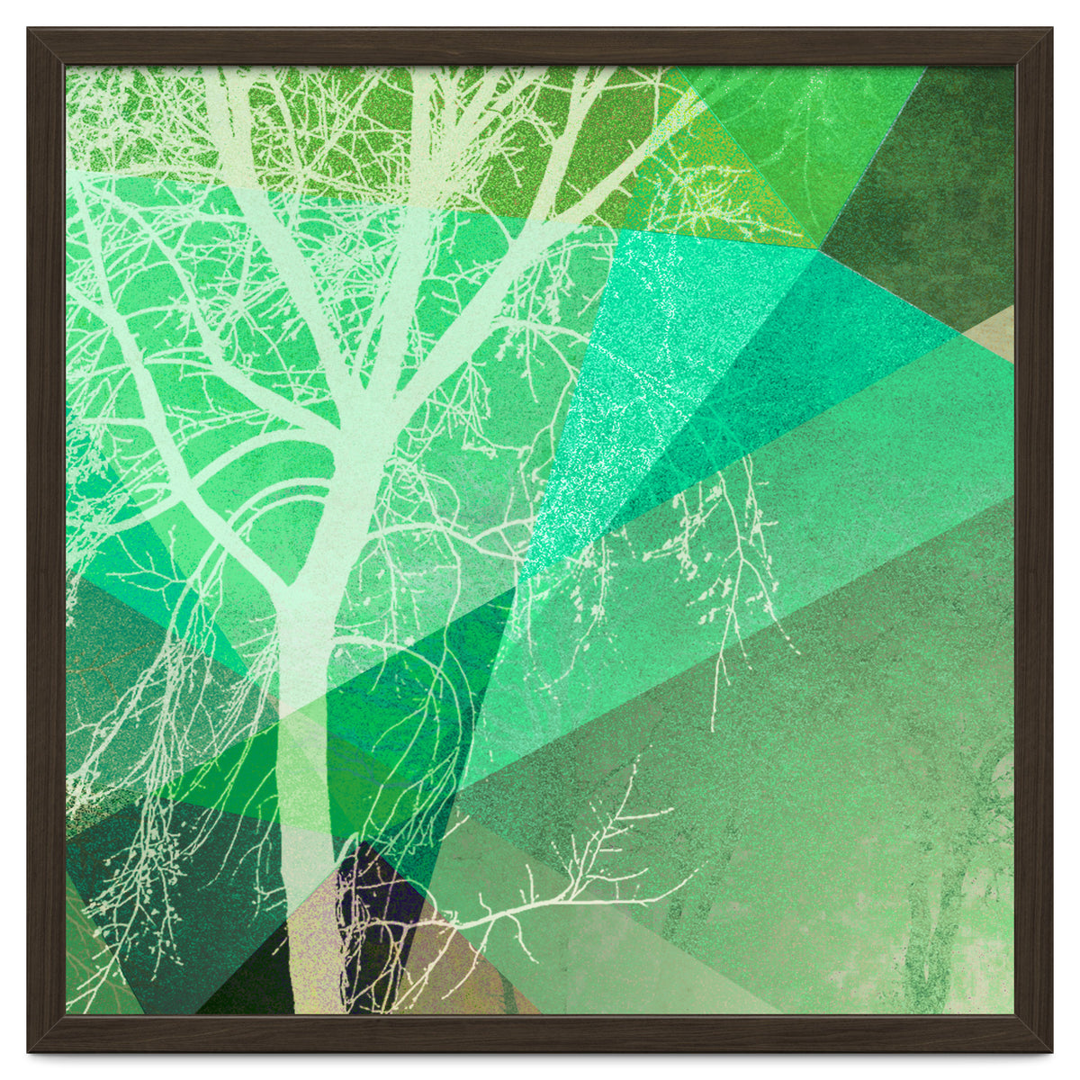 P22-B3 Trees And Triangles