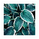 Sacred Edge (Print Only) thumbnail