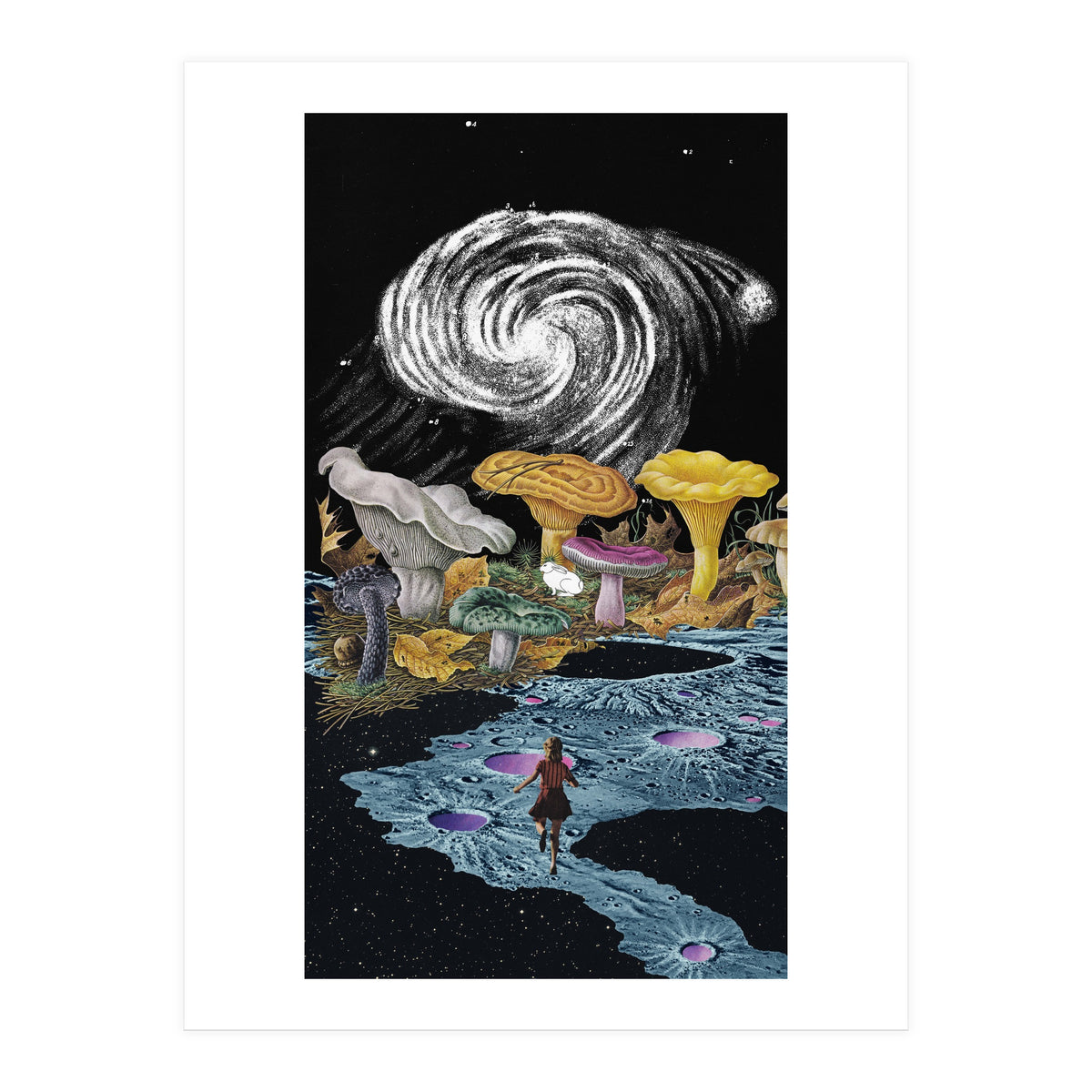 Follow The White Rabbit (Print Only)