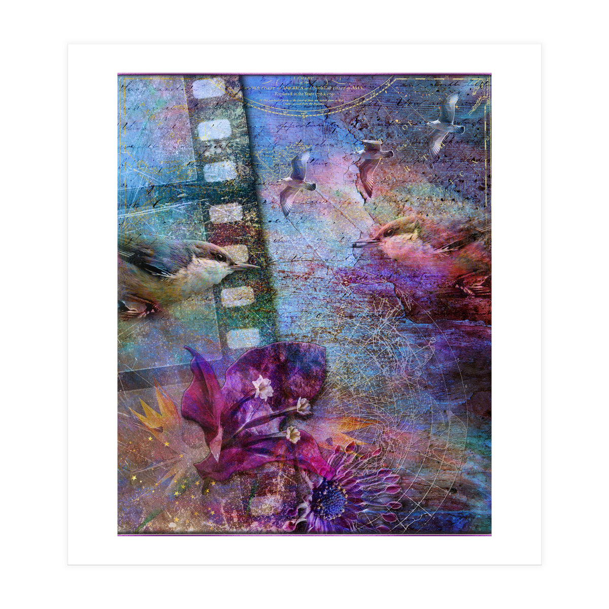 Watching the Wild World (Print Only)