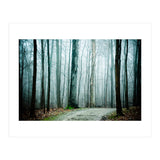 Gather Up Your Dreams (Print Only) thumbnail