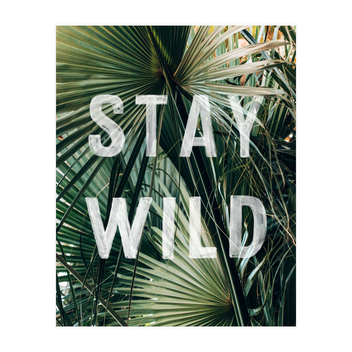 Stay Wild  (Print Only)