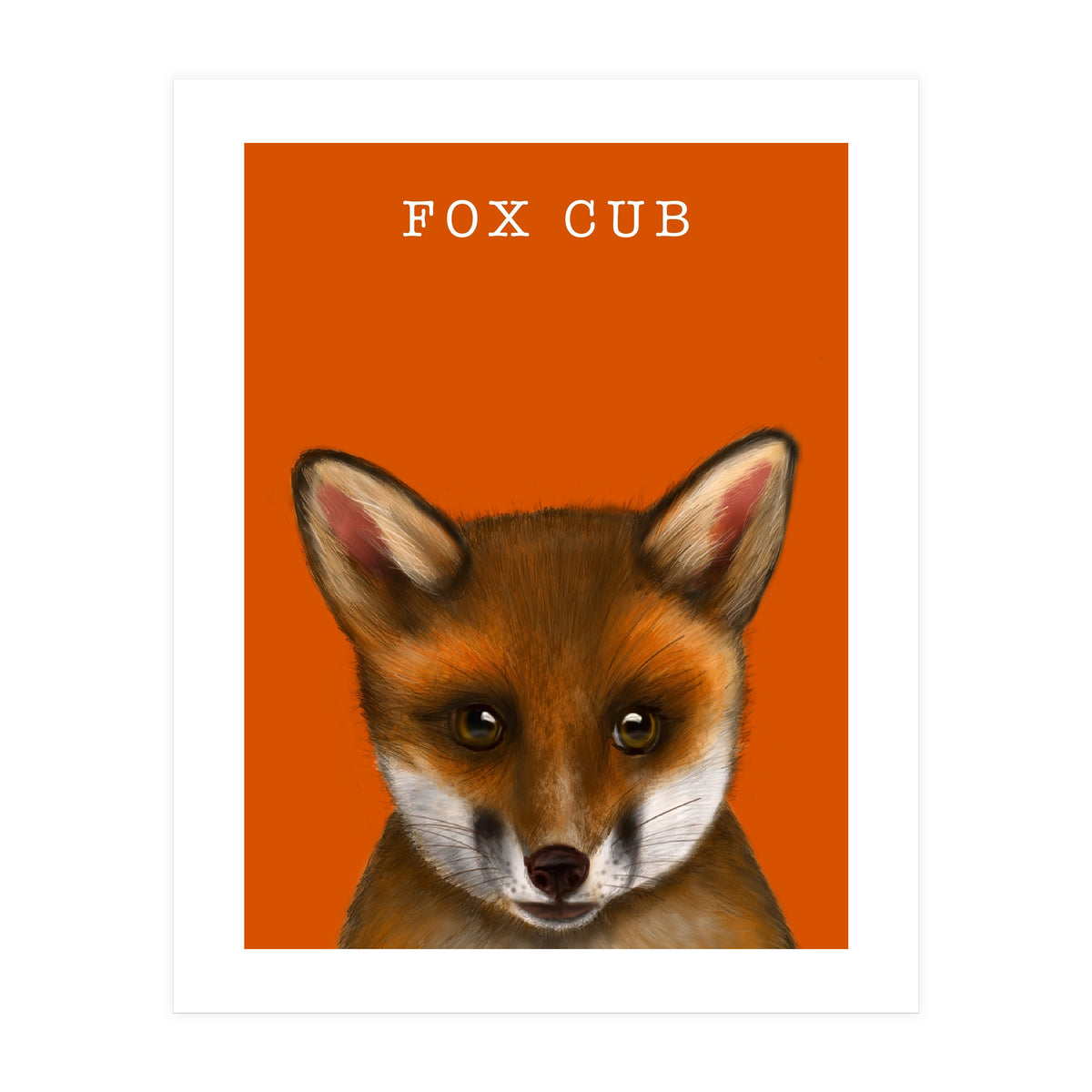 Fox Cub (Print Only)