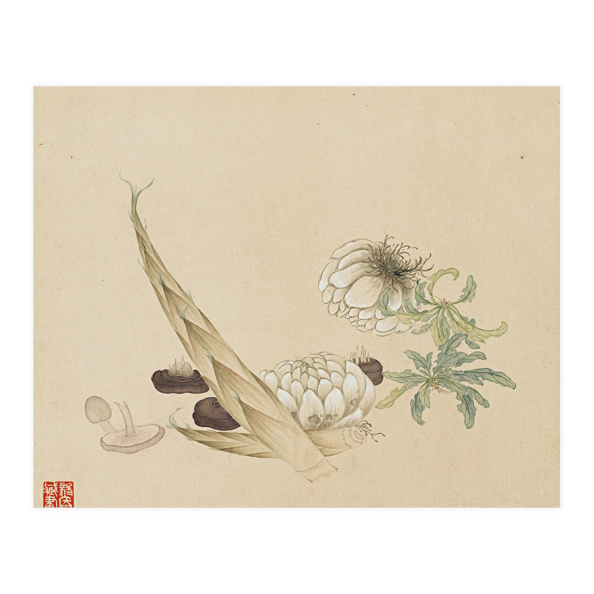 Wang Chengyu ~flowers, Vegetables, Lilies, Bamboo Shoots, Leaves, Mushrooms, Vegetables (Print Only)