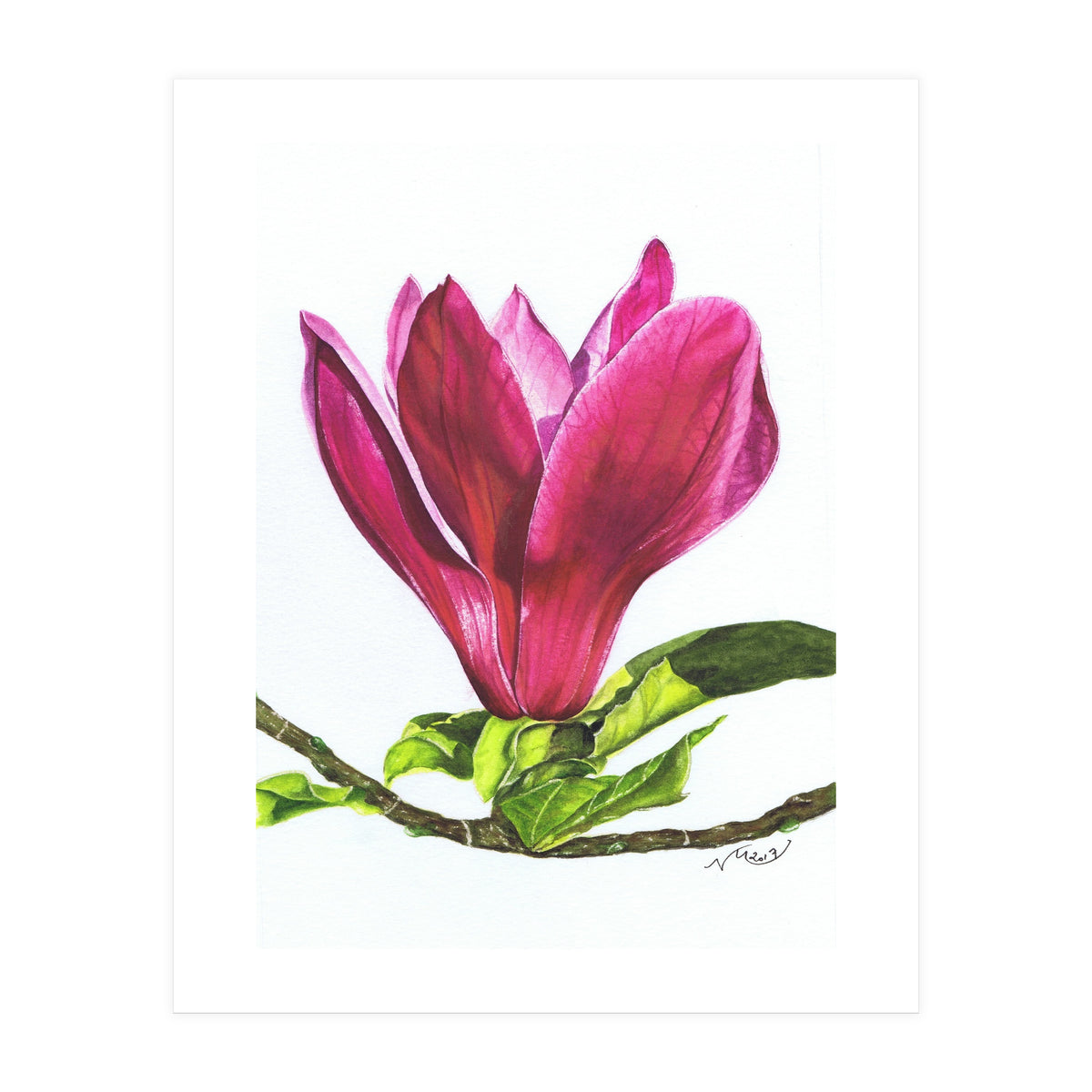 Single Magnolia (Print Only)