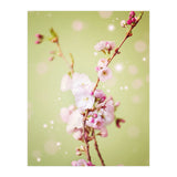 Springflowers (Print Only) thumbnail