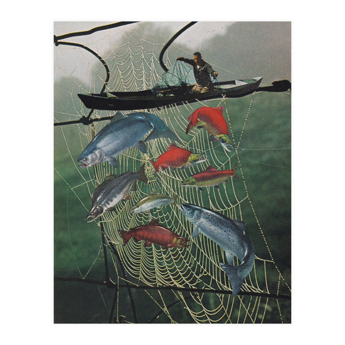 Salmon Trap (Print Only)