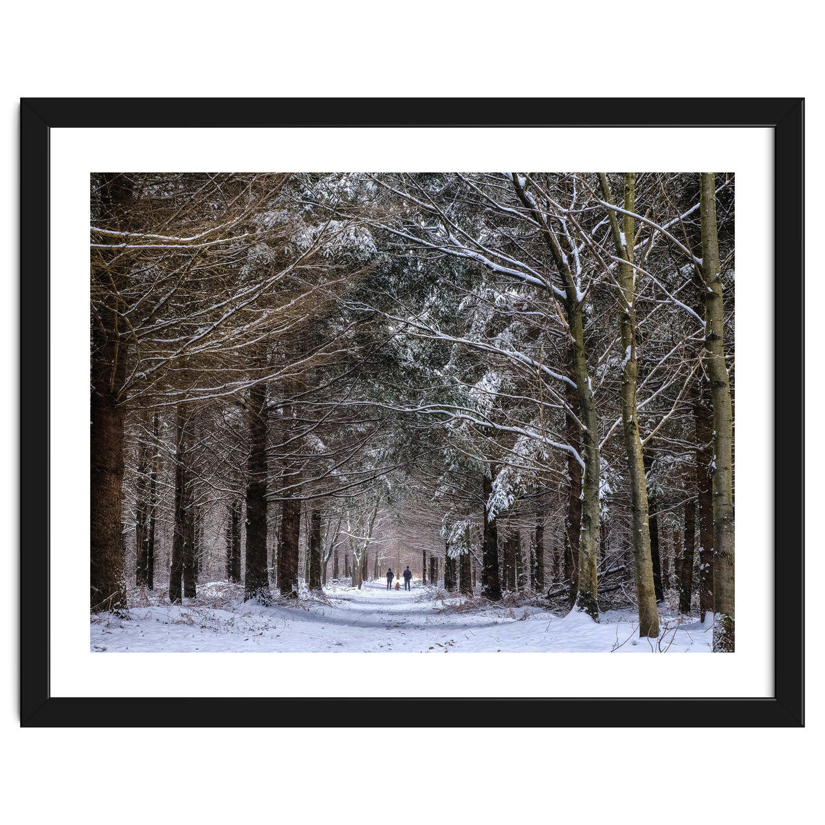 Dog Walkers in the Snow.  Heath Warren - Hampshire