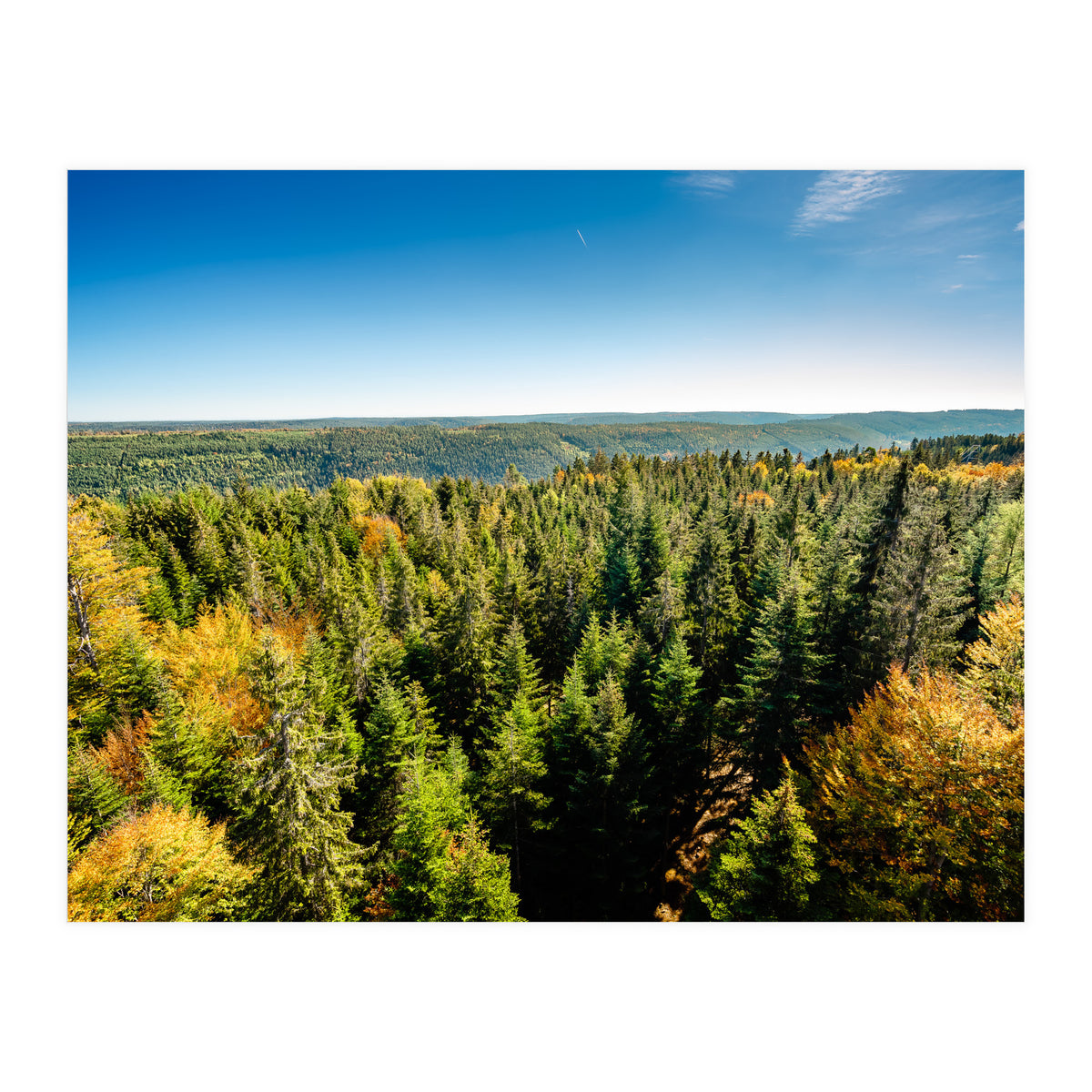 Black In Color (Print Only)