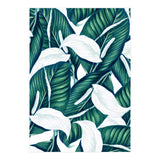 Tropical Winter (Print Only) thumbnail