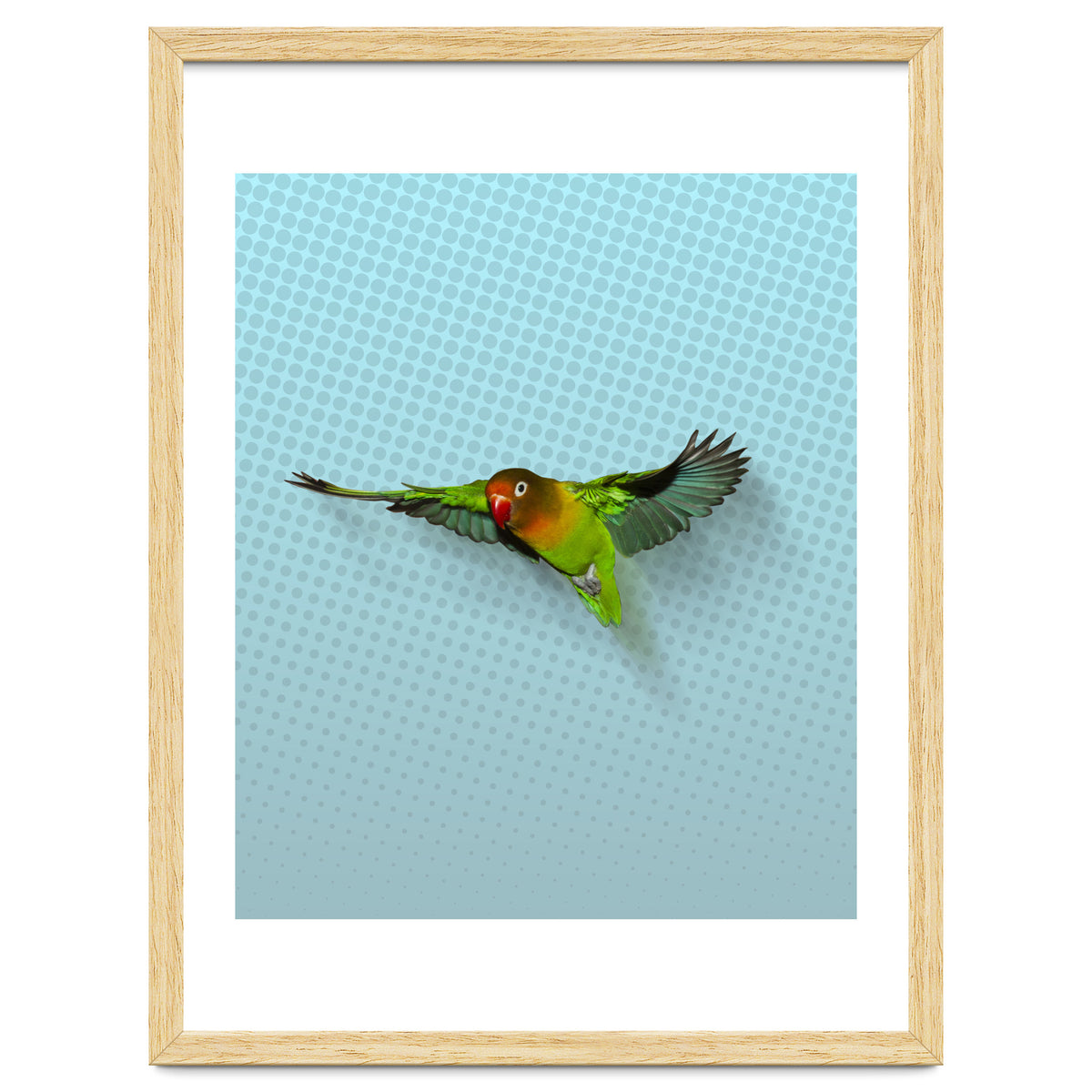 Flying lovebird