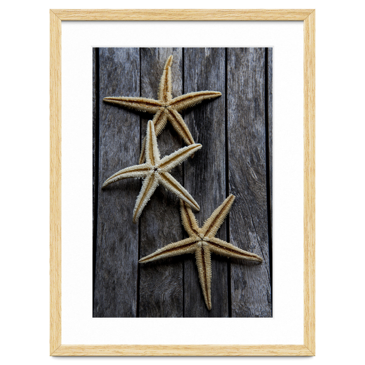 Starfishes in wooden