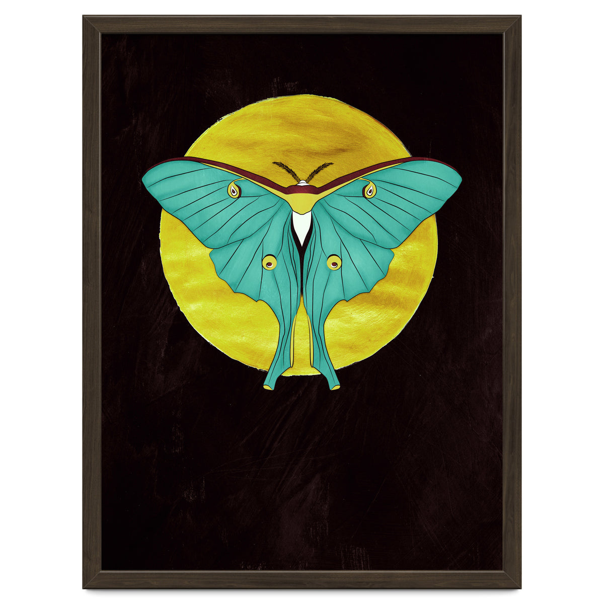 Luna Moth Moon