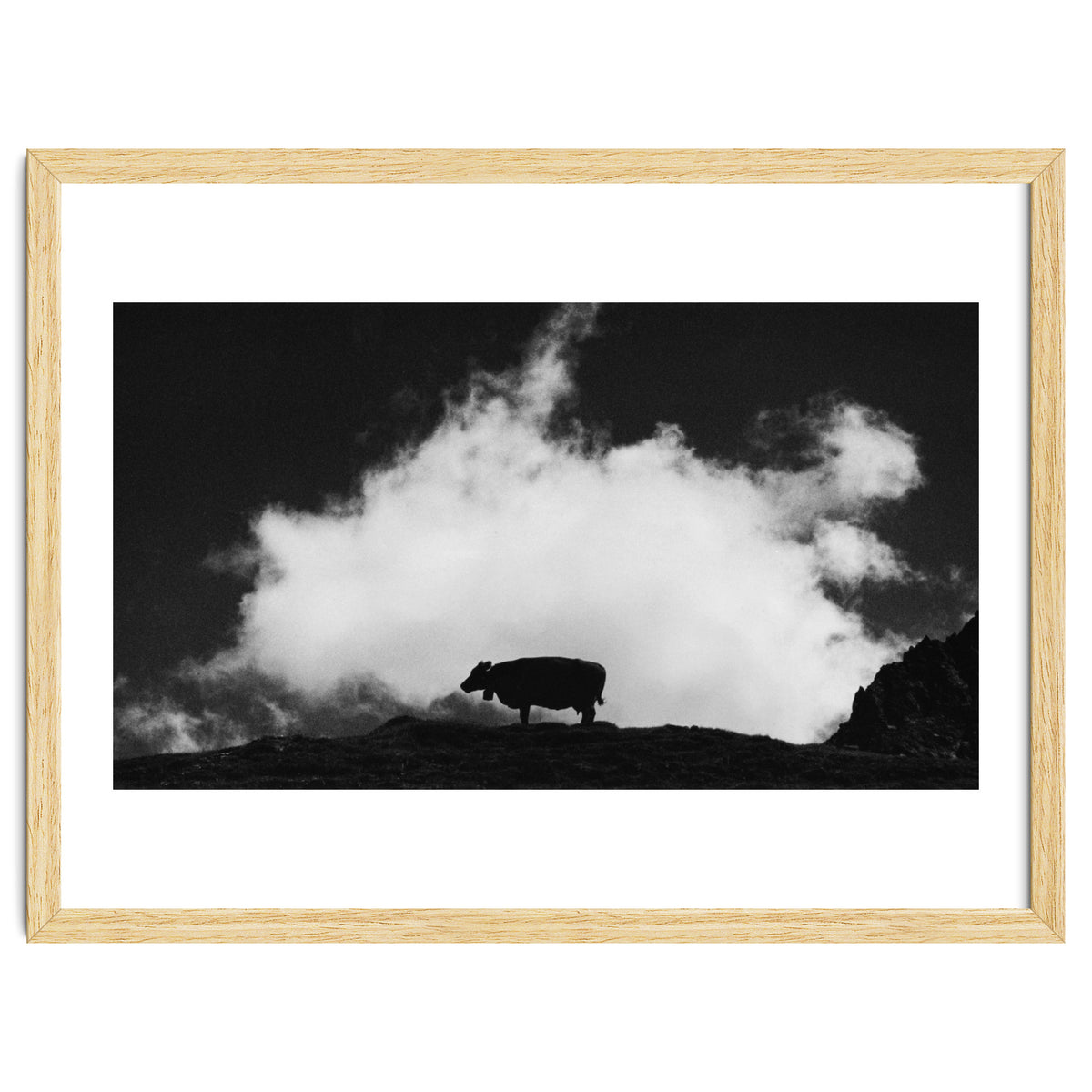 cow and cloud