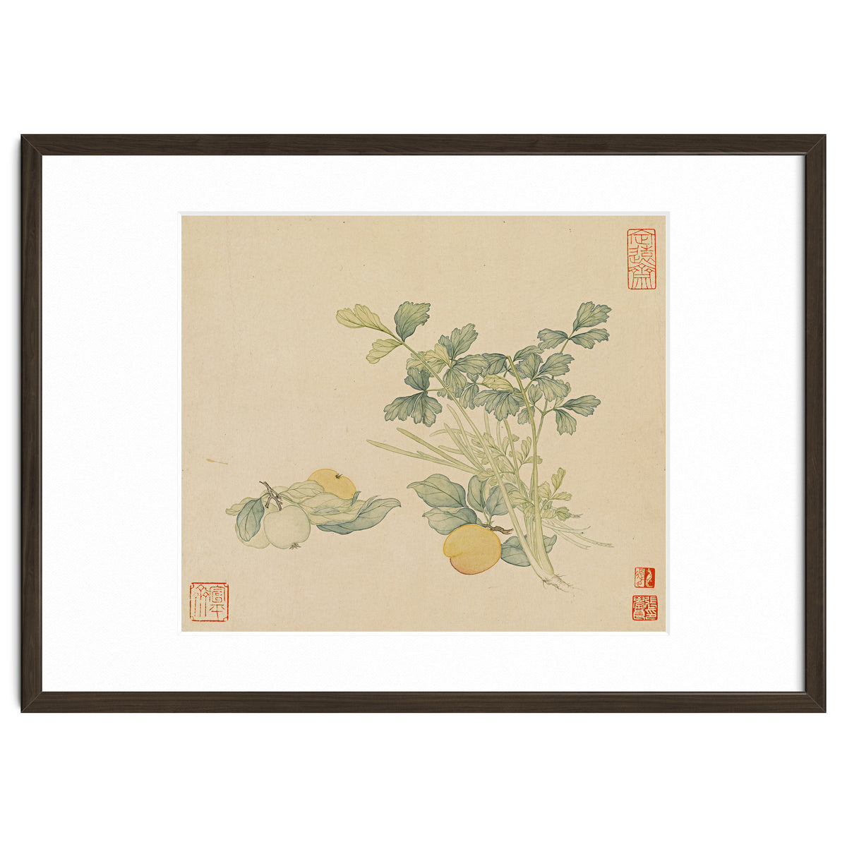 Wang Chengyu~flowers And Vegetables, Vegetables, Fruits, Plums, Apricots, Celery