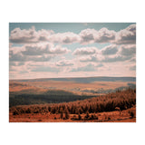 Dartmoor forest (Print Only) thumbnail
