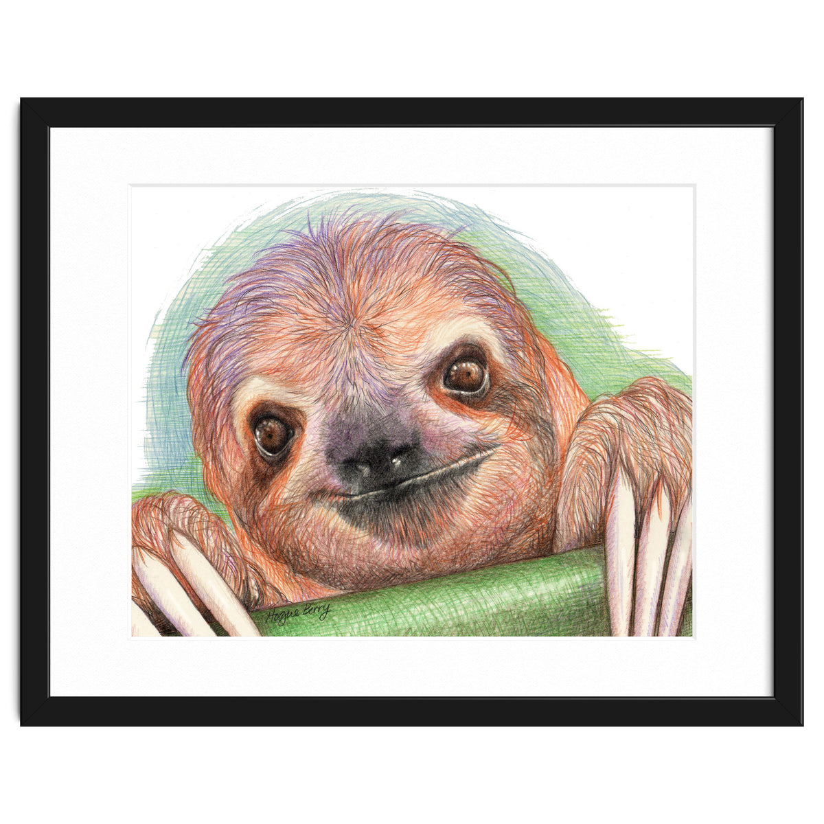 Smiling Sloth