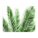 Palm Leaves (Print Only) thumbnail