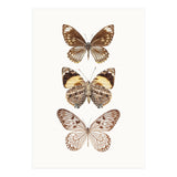 Cc Butterflies 06 (Print Only) thumbnail
