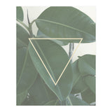ficus triangle (Print Only) thumbnail