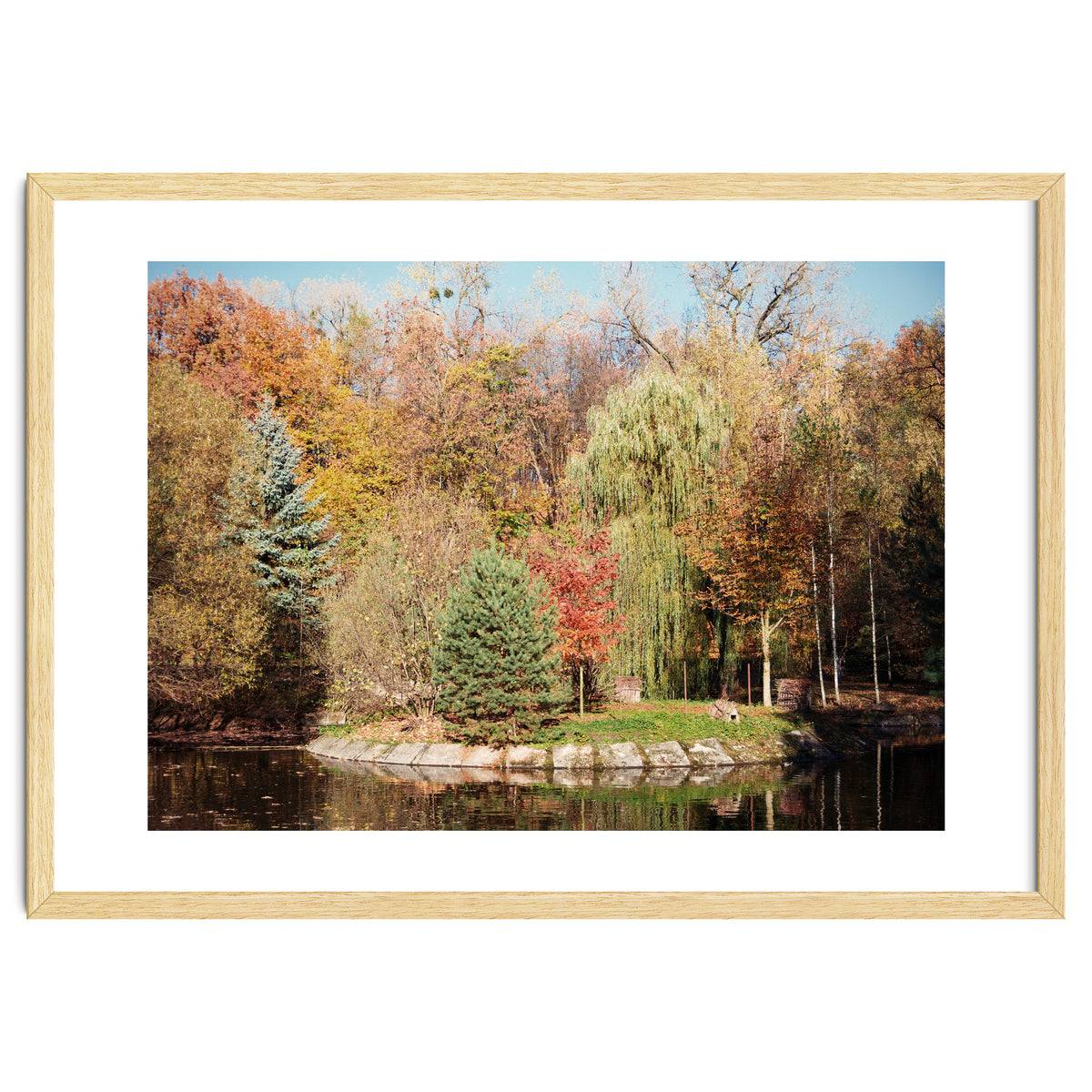 Transition from Summer to Winter