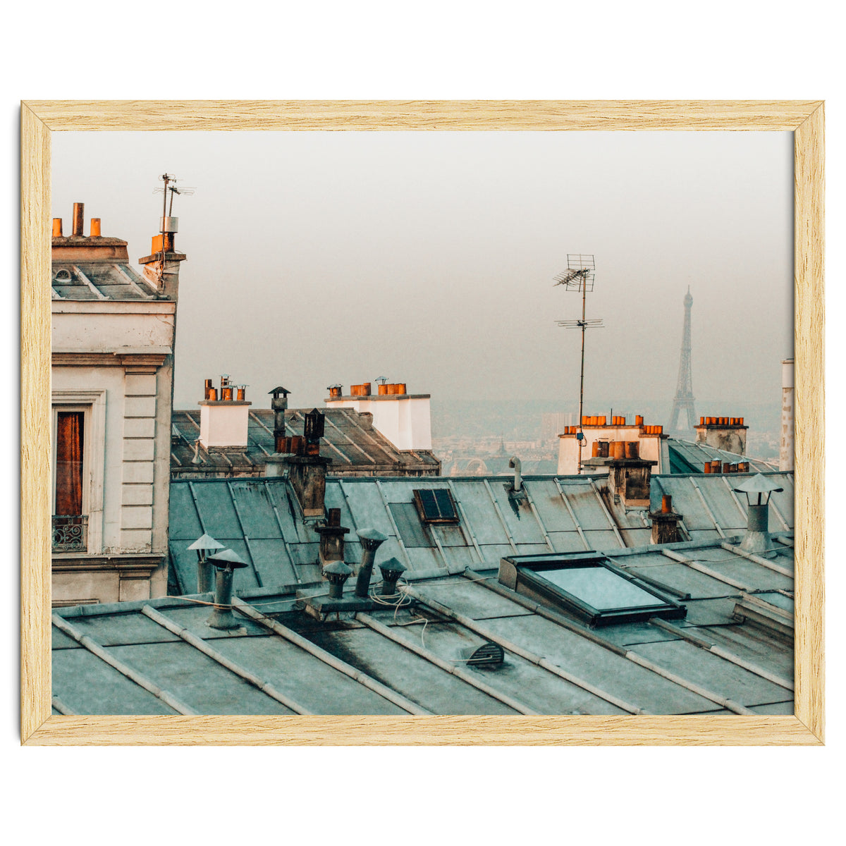 Paris Rooftop #1