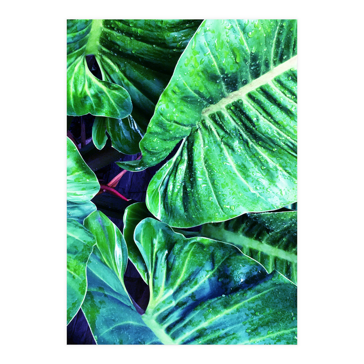 Another Botanical (Print Only)