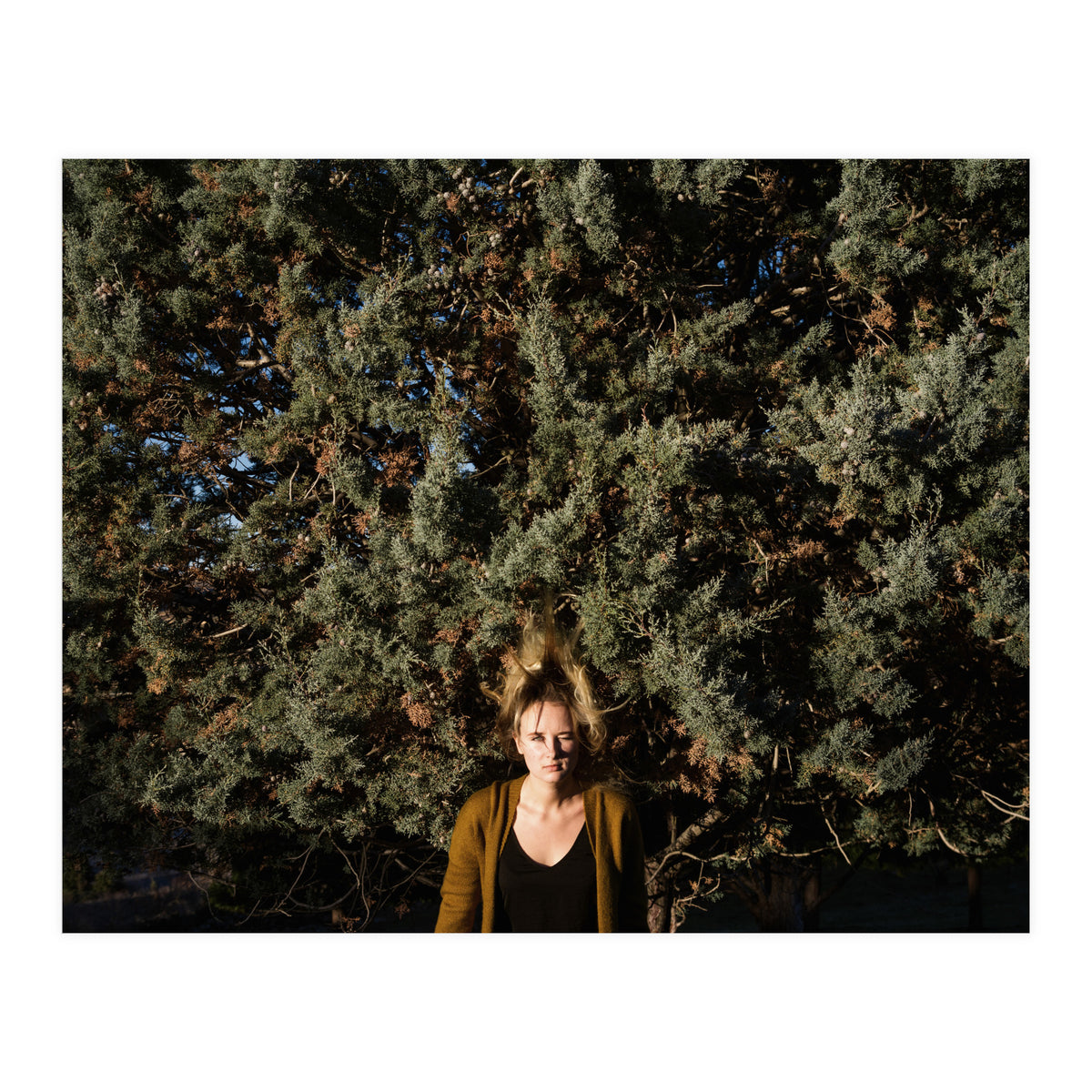 Autumn Portrait (Print Only)