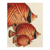Fish Classic Designs 2 (Print Only) thumbnail