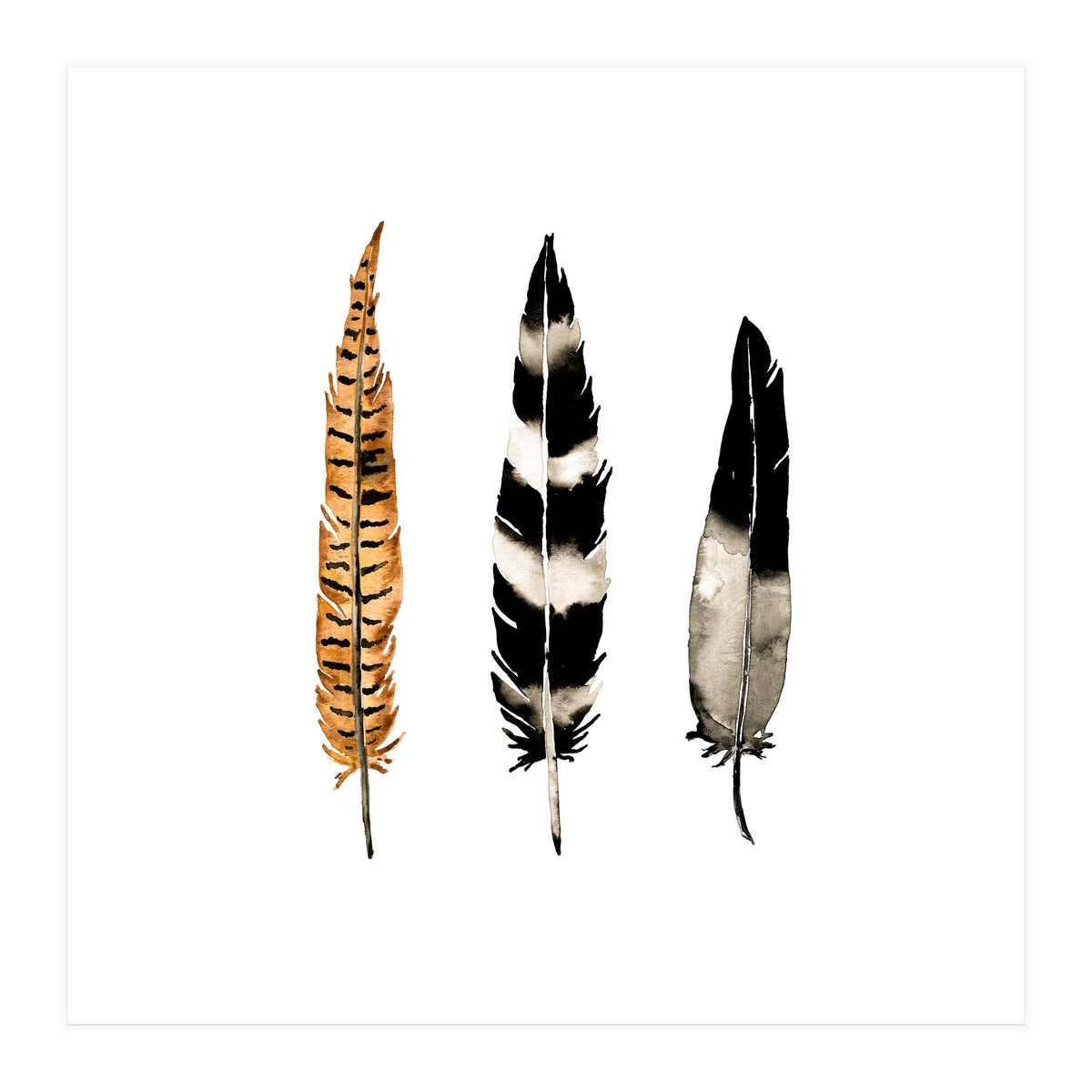 Earth Feather (Print Only)