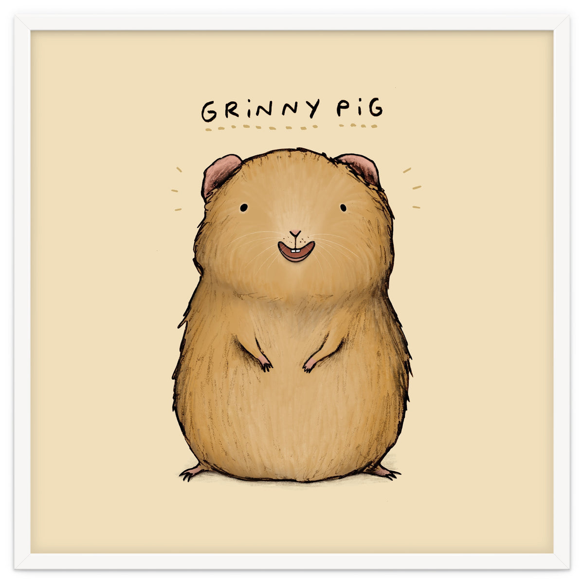 Grinnypig