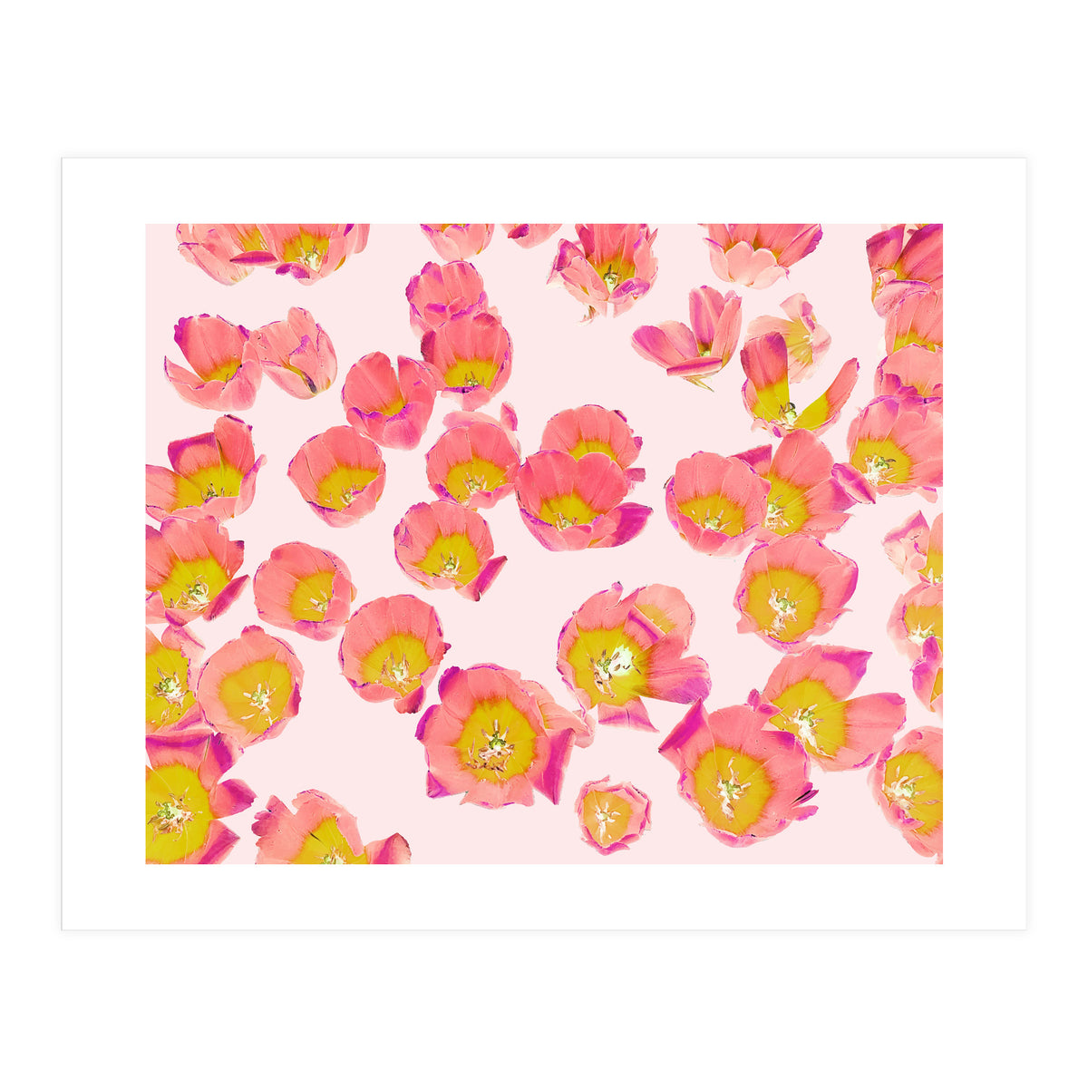 Flower Therapy (Print Only)