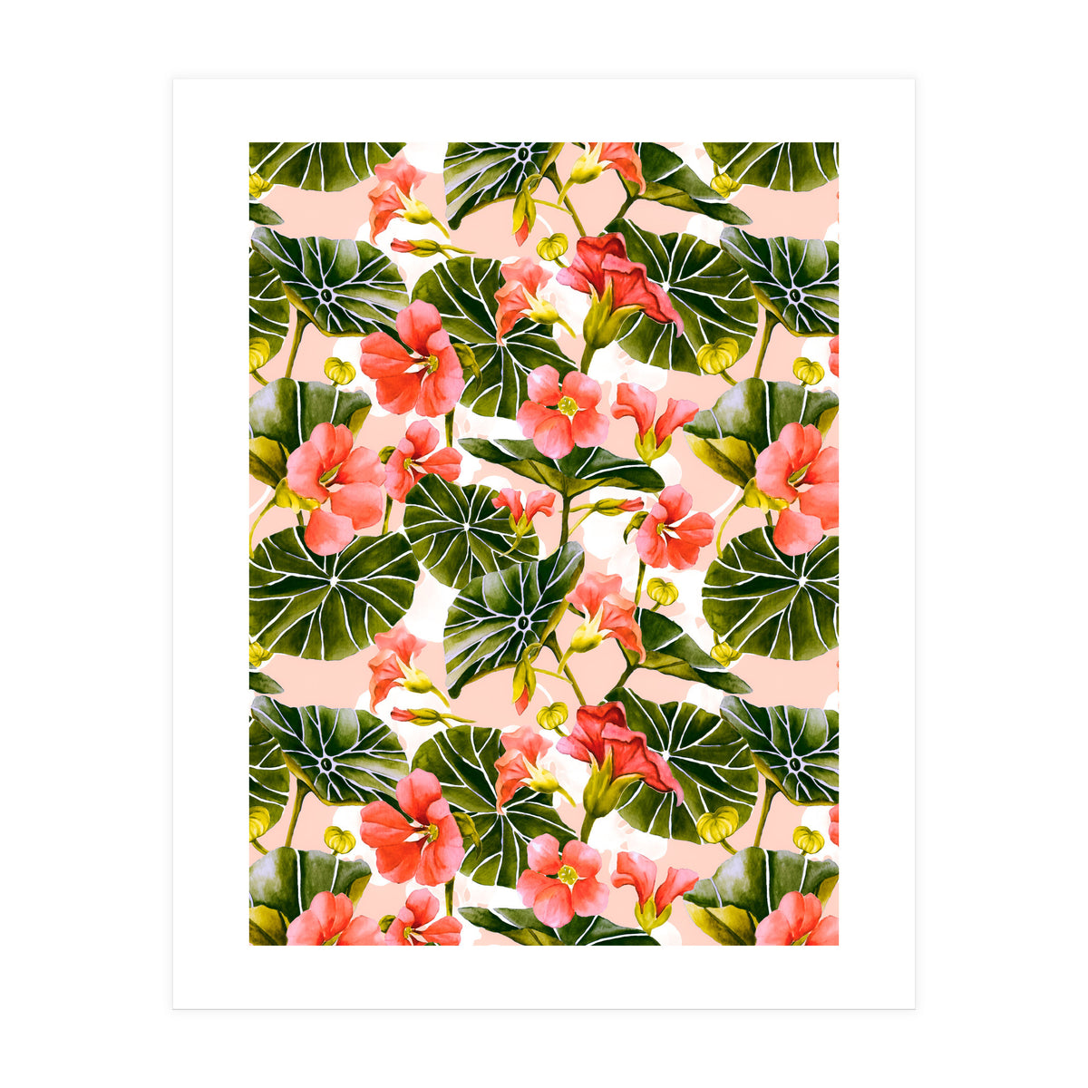 Nasturtiums watercolor 03 (Print Only)