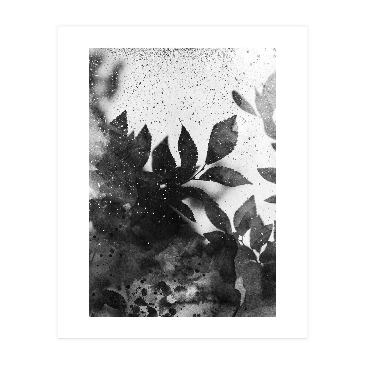 Leaves #1 (Print Only)