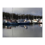 Fleet (Print Only) thumbnail