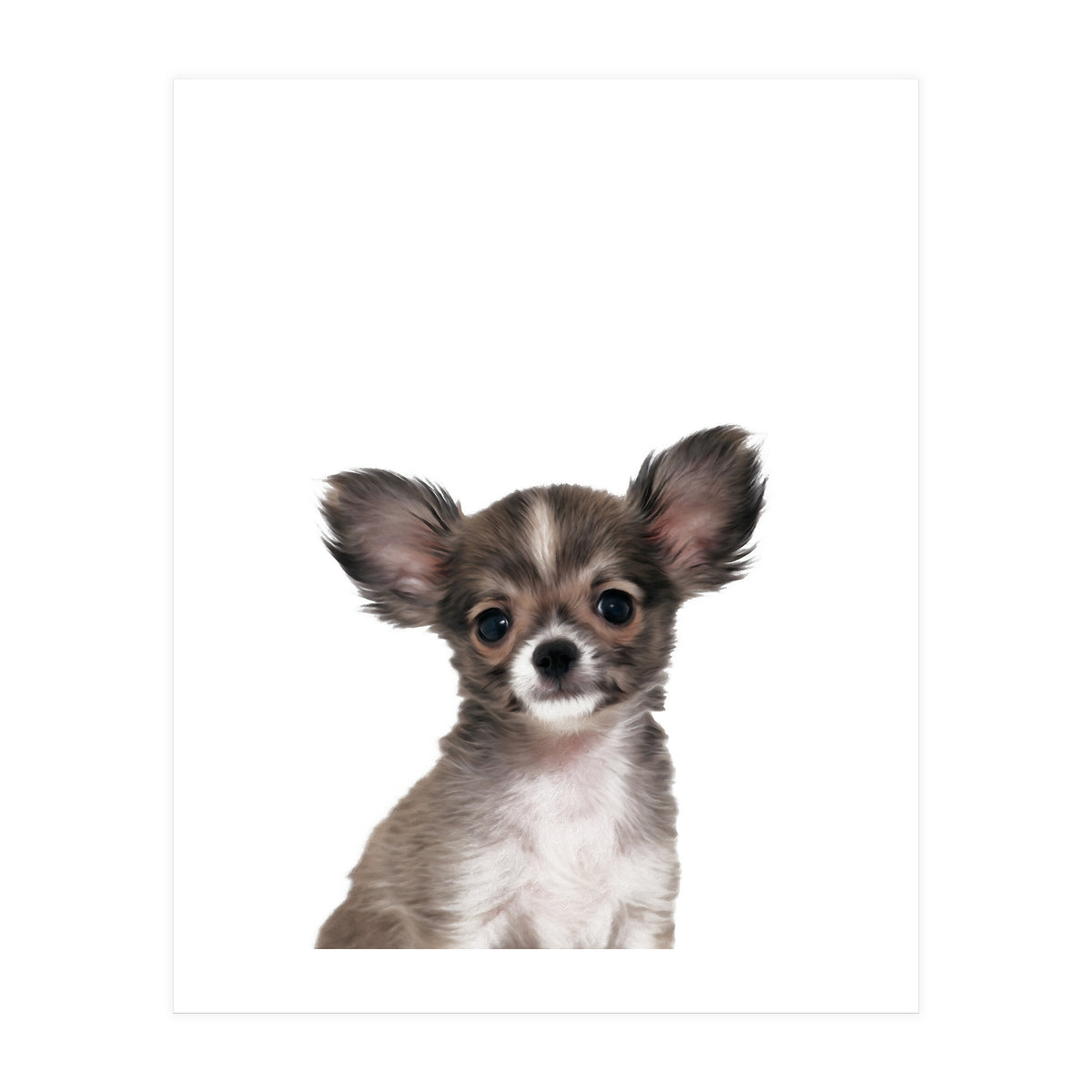 Chihuahua (Print Only)
