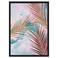 Palms + Sky