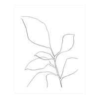 Six Leaf Plant (Print Only)