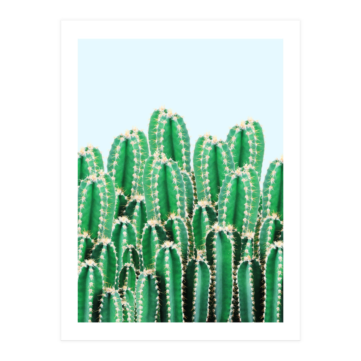 Kaktos II (Print Only)